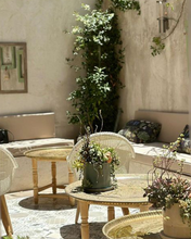 Load image into Gallery viewer, Farm-to-table on Rainbow Street