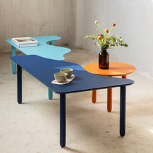 Load image into Gallery viewer, Nature goes indoors