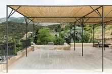 Load image into Gallery viewer, The mulberry tree