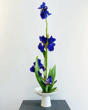 Load image into Gallery viewer, Ikebana, ephemeral beauty