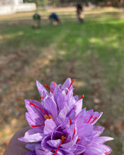 Load image into Gallery viewer, Spicy but patient