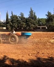 Load image into Gallery viewer, Spicy but patient